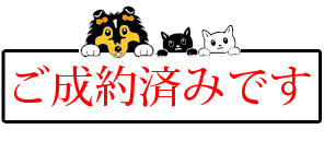 大阪府八尾市小阪合町の中古一戸建ての目玉物件【ご成約済みです ...